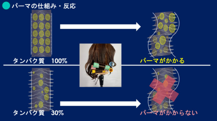 ブリーチパーマかけられる？ダメージの見方・かけ方・ブリーチからパーマしたらどうなる？ ブリーチした髪でもパーマはかけられますか？ ブリーチをするとパーマがかけられないのはなぜ？ パーマをかける時にどんな薬を選んでいけばいいのか分からない