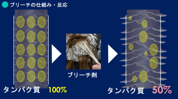ブリーチパーマかけられる？ダメージの見方・かけ方・ブリーチからパーマしたらどうなる？ ブリーチした髪でもパーマはかけられますか？ ブリーチをするとパーマがかけられないのはなぜ？ パーマをかける時にどんな薬を選んでいけばいいのか分からない