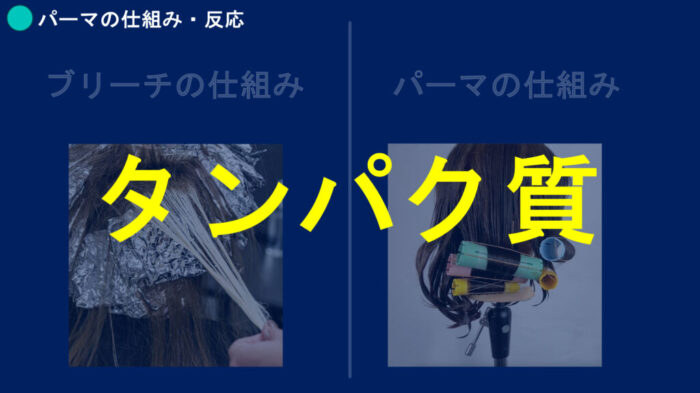ブリーチパーマかけられる？ダメージの見方・かけ方・ブリーチからパーマしたらどうなる？ ブリーチした髪でもパーマはかけられますか？ ブリーチをするとパーマがかけられないのはなぜ？ パーマをかける時にどんな薬を選んでいけばいいのか分からない