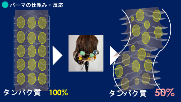 ブリーチパーマかけられる？ダメージの見方・かけ方・ブリーチからパーマしたらどうなる？ ブリーチした髪でもパーマはかけられますか？ ブリーチをするとパーマがかけられないのはなぜ？ パーマをかける時にどんな薬を選んでいけばいいのか分からない