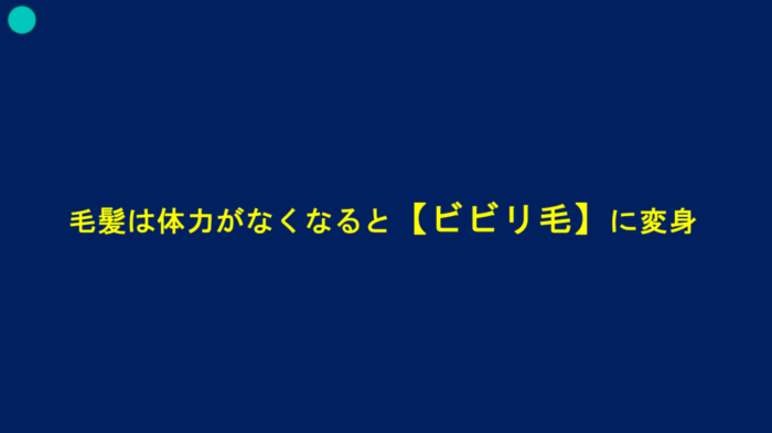 ブリーチパーマかけられる？ダメージの見方・かけ方・ブリーチからパーマしたらどうなる？ ブリーチした髪でもパーマはかけられますか？ ブリーチをするとパーマがかけられないのはなぜ？ パーマをかける時にどんな薬を選んでいけばいいのか分からない