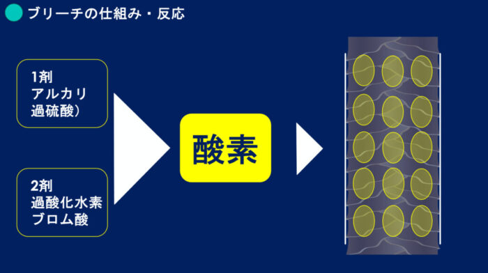 ブリーチパーマかけられる？ダメージの見方・かけ方・ブリーチからパーマしたらどうなる？ ブリーチした髪でもパーマはかけられますか？ ブリーチをするとパーマがかけられないのはなぜ？ パーマをかける時にどんな薬を選んでいけばいいのか分からない
