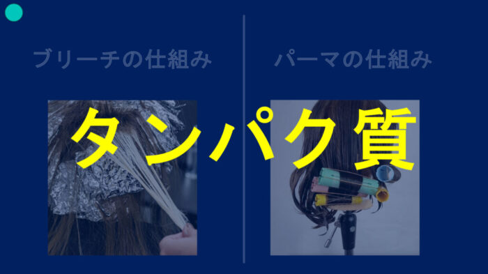 ブリーチパーマかけられる？ダメージの見方・かけ方・ブリーチからパーマしたらどうなる？ ブリーチした髪でもパーマはかけられますか？ ブリーチをするとパーマがかけられないのはなぜ？ パーマをかける時にどんな薬を選んでいけばいいのか分からない