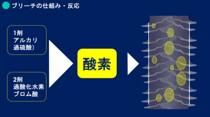 ブリーチパーマかけられる？ダメージの見方・かけ方・ブリーチからパーマしたらどうなる？ ブリーチした髪でもパーマはかけられますか？ ブリーチをするとパーマがかけられないのはなぜ？ パーマをかける時にどんな薬を選んでいけばいいのか分からない
